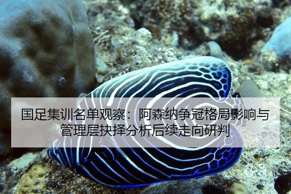 国足集训名单观察：阿森纳争冠格局影响与管理层抉择分析后续走向研判